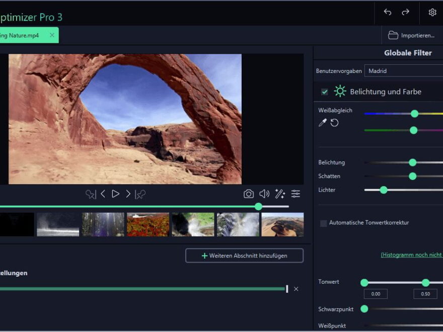 Ashampoo Video Optimizer Pro 3 Belichtung und Farbe anpassen