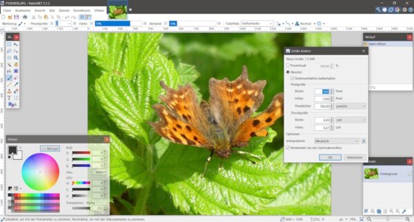 Bildgröße ändern mit Paint.NET: Fenster zeigt Optionen zur Anpassung der Pixelgröße eines Bildes mit einem Schmetterling.