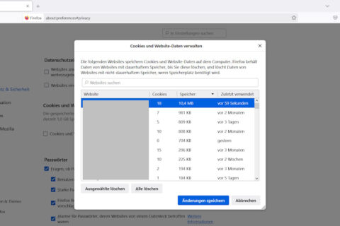 Firefox Cookies manuell löschen: Einstellungen im Browser mit geöffnetem Fenster zur Verwaltung von Cookies und Website-Daten.